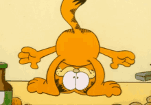 Garfield Funny GIF - Garfield Funny GIFs