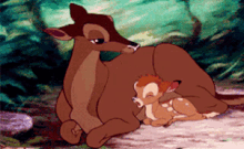 Bambi Mother GIF - Bambi Mother Disney GIFs