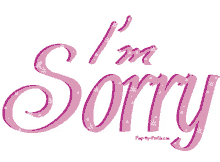 sorry im sorry apology regret im so sorry