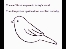Cant Trust Anybody Bird GIF - Cant Trust Anybody Bird Turn The Picture Upside Down GIFs