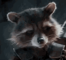 Rocket Raccoon Guardians Of The Galaxy GIF - Rocket Raccoon Guardians Of The Galaxy Eye Roll GIFs