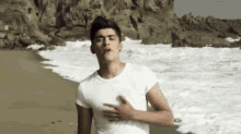 zayn malik zayn malik
