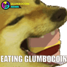 glumbocoin cheems doge burger eat glumbocoin