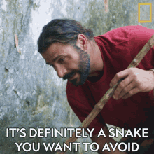Its Definitely A Snake You Want To Avoid Toxic Person GIF - Its Definitely A Snake You Want To Avoid Toxic Person Venomous GIFs