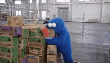 Cookies Cookie Monster GIF - Cookies Cookie Monster Girl Scout Cookies GIFs