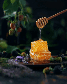 Honey Food GIF - Honey Food Honeycomb GIFs