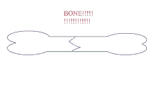 bone bone