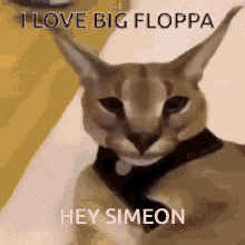 Floppa Simeon GIF - Floppa Simeon Big Floppa GIFs