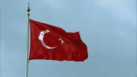 Bayrak Turkbayragi GIF - Bayrak Turkbayragi Tam35 - Discover &amp; Share GIFs