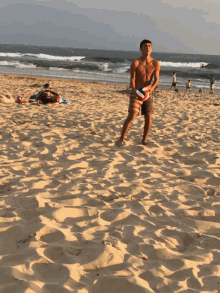 Volleyball Beach GIF - Volleyball Beach Summer GIFs