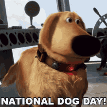 National Dog Day Cute GIF - National Dog Day Dog Cute GIFs