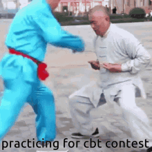 Cbt Ball Punching