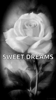 sweet dreams flowers sparkles good night sweet dreams flowers sparkles good night