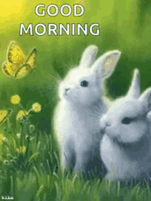 Good Morning Greetings GIF - Good Morning Greetings Bunny GIFs