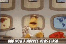 Muppet Newsflash GIF - Muppet Newsflash GIFs