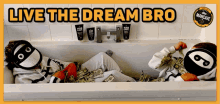 bromancave dream