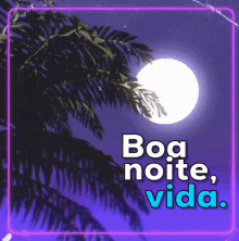 Lua Boa Noite Vida / Dorme Bem / Durma Bem / Boa Noite Amor GIF - Moon Good Night Boo Good Night GIFs