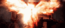 Phoenix Fire GIF - Phoenix Fire Flame GIFs