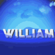 William Family GIF - William Family GIFs