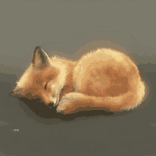 anime fox sleeping anime fox sleeping