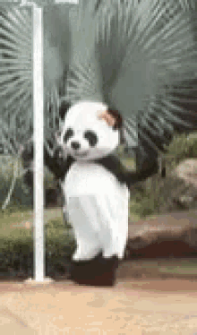 Dance Panda GIF - Dance Panda GIFs