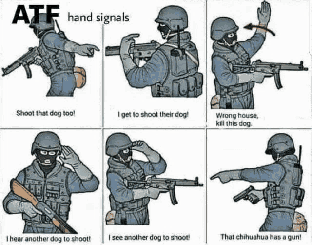 atf-shoots-dogs-gun.gif