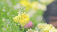 Eunha Cute GIF - Eunha Cute Flowers GIFs