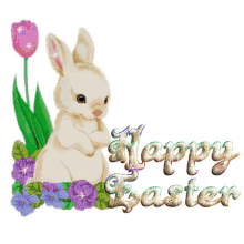 happy easter tulip bunny easter bunny