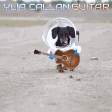 Guitar Dog Meme Dachsund GIF - Guitar Dog Meme Dachsund Dog In Space Suit GIFs
