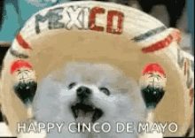 Cinco De Mayo Mexico GIF - Cinco De Mayo Mexico Maracas GIFs