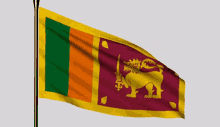 Sri Lanka Sinhala GIF - Sri Lanka Sinhala Flag GIFs