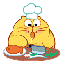 cook cute fat kitty cat
