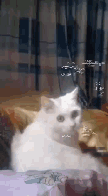 Gato Pensando Cat Thinking GIF - Gato Pensando Cat Thinking Cat Overthinking GIFs