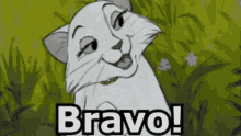 bravo clap clapping applause aristrocats bravo clap clapping applause aristrocats