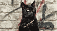 Salem Black Cat GIF - Salem Black Cat But Thats None Of My Business GIFs