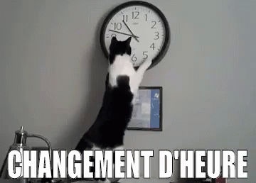 Changement D'Heure GIF - Changement D Heure Changement Heure - Discover &  Share GIFs