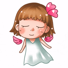 girl life student dailylief shorthair girl life student dailylief shorthair
