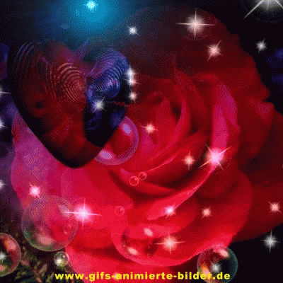 Rose Flower GIF - Rose Flower - Discover & Share GIFs