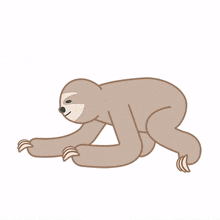 sloth slow