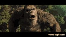 Gv K Kong GIF - Gv K Kong Angry GIFs