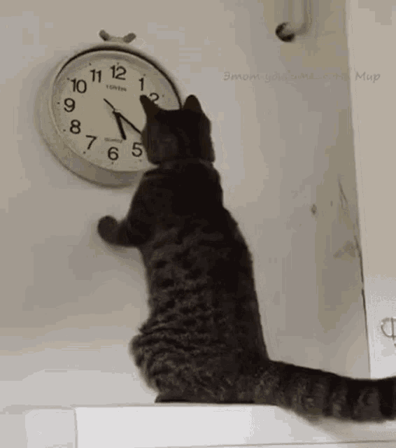 watching clock