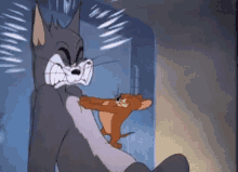 Tom And Jerry Knock Out Time GIF - Tom And Jerry Knock Out Time Angry GIFs