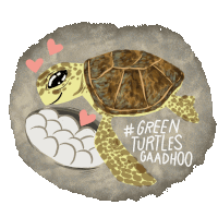Green Turtle Sea Turtle Sticker - Green Turtle Sea Turtle Turtle Eggs Stickers