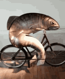 Fish Smelly GIF - Fish Smelly Bike GIFs