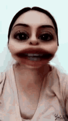 Yolo Yola GIF - Yolo Yola Selfie GIFs