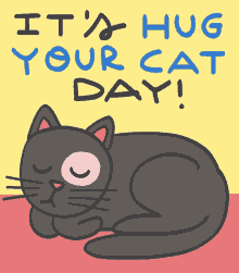 Hug Your Cat Day Its Hug Your Cat Day GIF - Hug Your Cat Day Its Hug Your Cat Day Cat Hug Day GIFs
