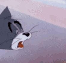 Tom And Jerry Tome GIF - Tom And Jerry Tome GIFs