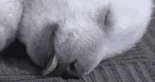 Passedout Drunk GIF - Passedout Drunk Floor GIFs
