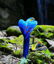 Bird Perch GIF - Bird Perch Viorchu GIFs