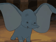 Wiggle GIF - Elephant Ears Dumbo GIFs